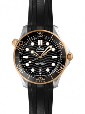 Omega Seamaster 210.22.42.20.01.002 - MS TR JAPAN 